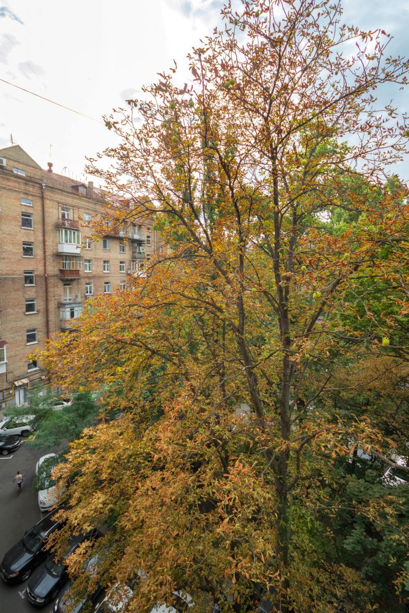 Central Apartments Kijev Kültér fotó